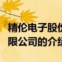 精伦电子股份有限公司（关于精伦电子股份有限公司的介绍）