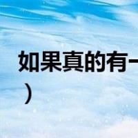 如果真的有一天（关于如果真的有一天的介绍）