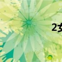 2女（关于2女的介绍）