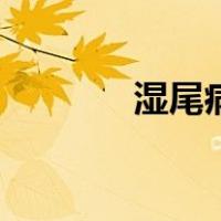 湿尾病（关于湿尾病的介绍）