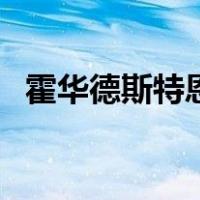 霍华德斯特恩（关于霍华德斯特恩的介绍）