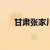甘肃张家川（关于甘肃张家川的介绍）