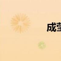 成莹（关于成莹的介绍）