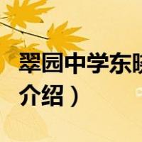 翠园中学东晓校区（关于翠园中学东晓校区的介绍）