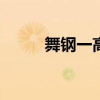 舞钢一高（关于舞钢一高的介绍）