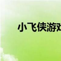 小飞侠游戏（关于小飞侠游戏的介绍）