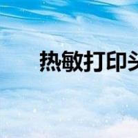 热敏打印头（关于热敏打印头的介绍）