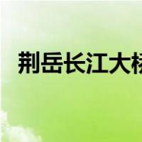 荆岳长江大桥（关于荆岳长江大桥的介绍）
