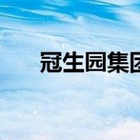 冠生园集团（关于冠生园集团的介绍）