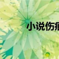 小说伤痕（关于小说伤痕的介绍）