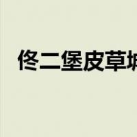 佟二堡皮草城（关于佟二堡皮草城的介绍）