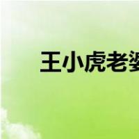 王小虎老婆（关于王小虎老婆的介绍）