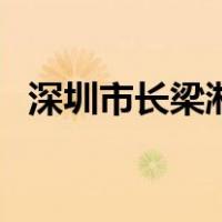 深圳市长梁湘（关于深圳市长梁湘的介绍）