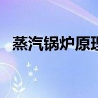 蒸汽锅炉原理（关于蒸汽锅炉原理的介绍）