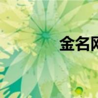 金名网（关于金名网的介绍）