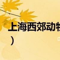 上海西郊动物园（关于上海西郊动物园的介绍）