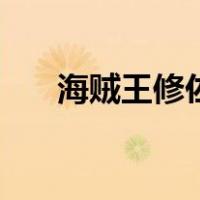 海贼王修佐（关于海贼王修佐的介绍）