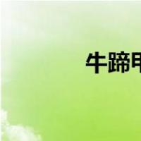 牛蹄甲（关于牛蹄甲的介绍）