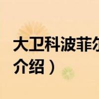 大卫科波菲尔小说（关于大卫科波菲尔小说的介绍）
