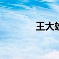王大雄（关于王大雄的介绍）