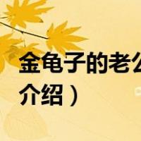 金龟子的老公是谁（关于金龟子的老公是谁的介绍）
