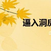 逼入洞房（关于逼入洞房的介绍）