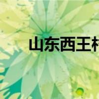 山东西王村（关于山东西王村的介绍）