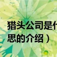 猎头公司是什么意思（关于猎头公司是什么意思的介绍）