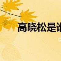 高晓松是谁（关于高晓松是谁的介绍）