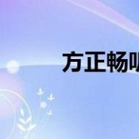 方正畅听（关于方正畅听的介绍）