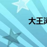 大王涛（关于大王涛的介绍）