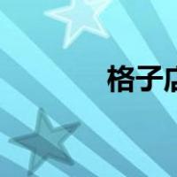 格子店（关于格子店的介绍）