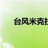 台风米克拉（关于台风米克拉的介绍）