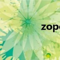 zopo（关于zopo的介绍）