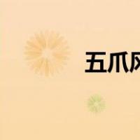 五爪风（关于五爪风的介绍）