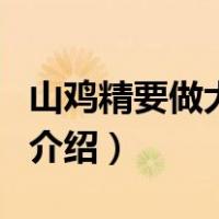 山鸡精要做大妖怪（关于山鸡精要做大妖怪的介绍）
