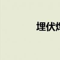 埋伏焊（关于埋伏焊的介绍）