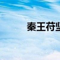 秦王苻坚（关于秦王苻坚的介绍）