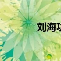 刘海功（关于刘海功的介绍）