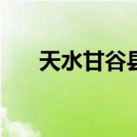 天水甘谷县（关于天水甘谷县的介绍）