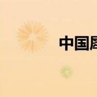中国犀（关于中国犀的介绍）
