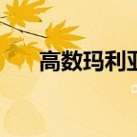 高数玛利亚（关于高数玛利亚的介绍）