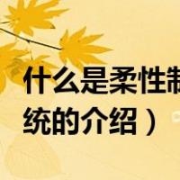 什么是柔性制造系统（关于什么是柔性制造系统的介绍）