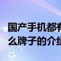 国产手机都有什么牌子（关于国产手机都有什么牌子的介绍）