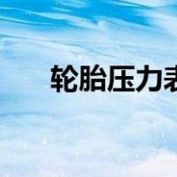 轮胎压力表（关于轮胎压力表的介绍）