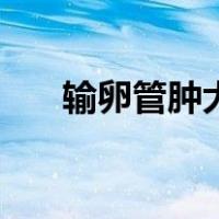 输卵管肿大（关于输卵管肿大的介绍）