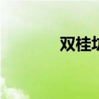 双桂坊（关于双桂坊的介绍）