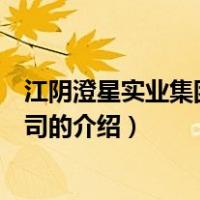 江阴澄星实业集团有限公司（关于江阴澄星实业集团有限公司的介绍）