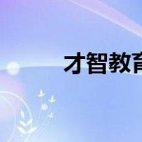 才智教育（关于才智教育的介绍）