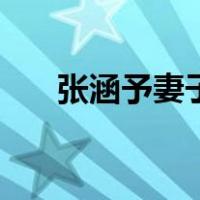 张涵予妻子（关于张涵予妻子的介绍）
